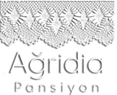 pansiyonagridia